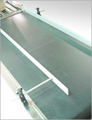 紙箱輸送機 Case Conveyor